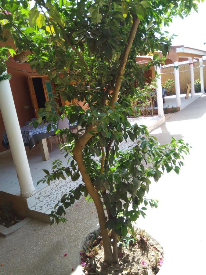 Chez Coumba Et Daniel Bed & Breakfast Saly Portudal Ngoại thất bức ảnh